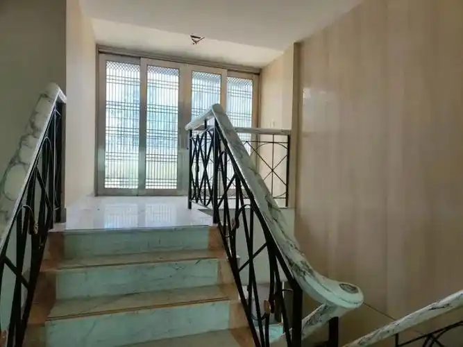 深圳法拍独栋别墅康美药业原董事长马兴田银湖会议中心13栋有何乾坤