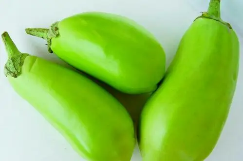 青茄子惊爆价8分钱/斤,每人限购2斤