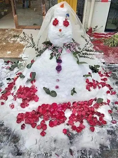熊孩子堆了个雪人回应上面那位小哥: 全雪地你最妖艳:绿叶鲜花新娘 这