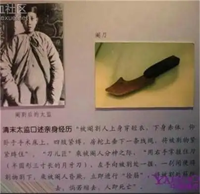 新太监的泛滥实在让人担心让人忧