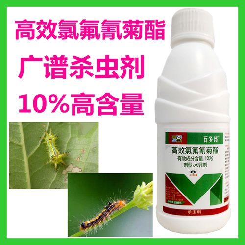 洋辣子刺毛虫药毛毛虫刺蛾园林绿化果树杀虫药剂农药水户外大面积