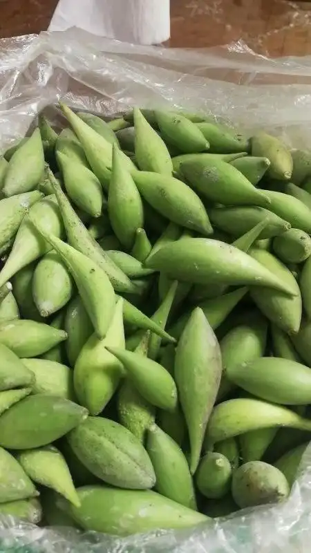 地梢种子育苗砖用母奶奶瓜女青羊角100粒包邮其他药食同源食品