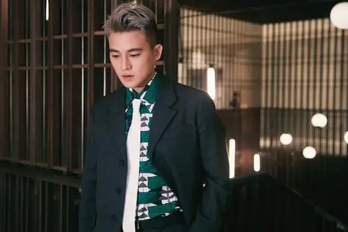 欧豪酷帅有型西装写真图片