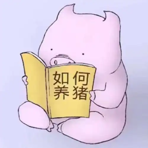 如何养猪头像