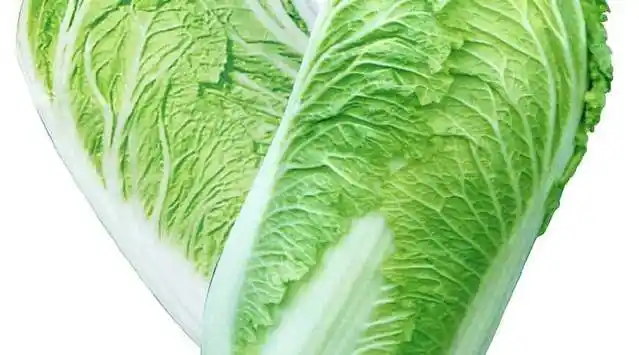 白菜帮子上有黑斑,到底是吃还是不吃?