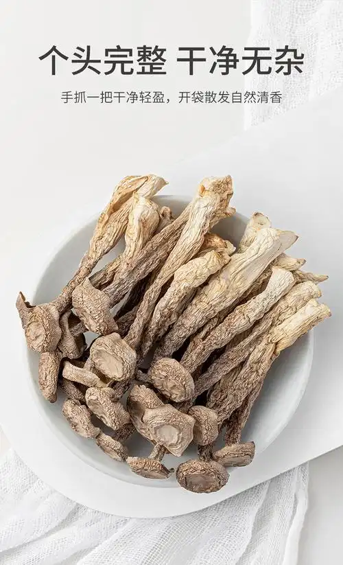 【方家铺子】鹿茸菇150g/袋 鹿茸菌菇干货 炒菜煲汤火锅食材 始于1906