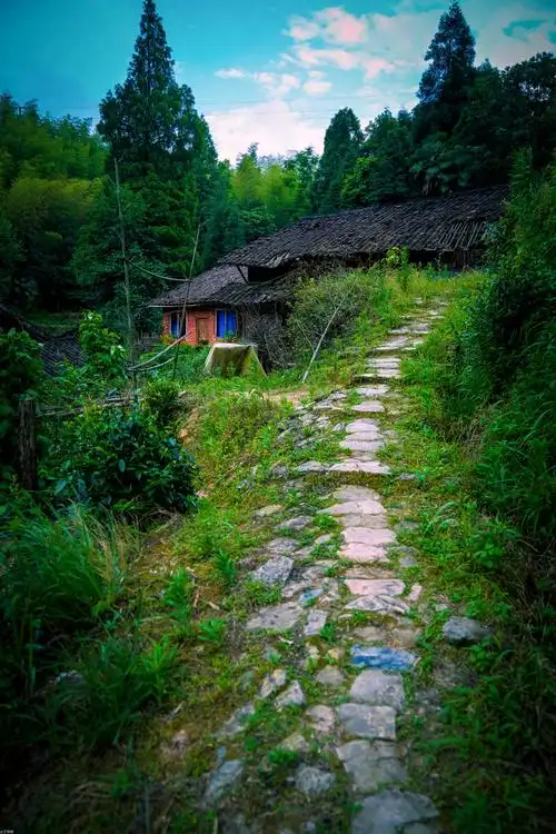 山里村里炊烟袅袅