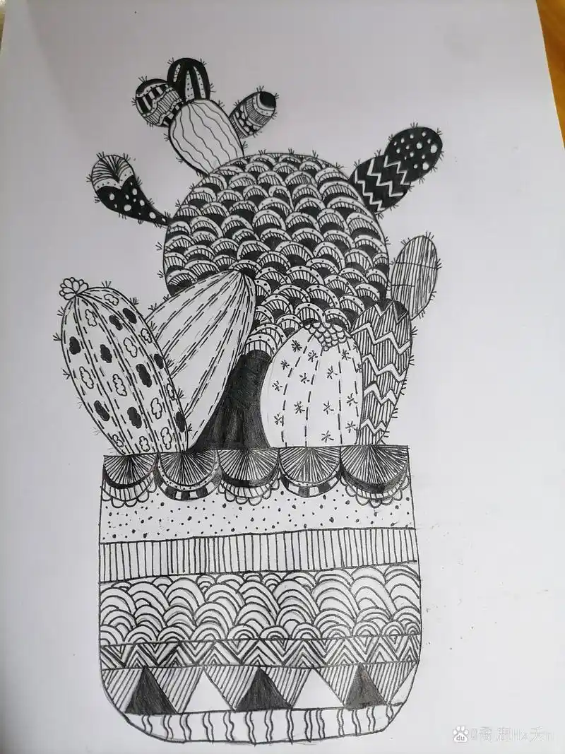 仙人掌白黑线描