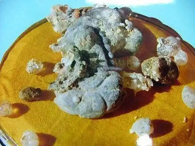 实拍7位老和尚舍利子公开有图有真相