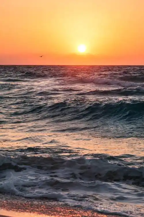 美丽的热带日出在海滩在海墨西哥