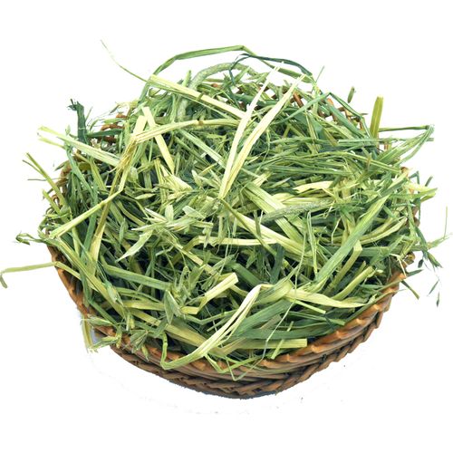 包邮2019微干燕麦草500g兔子荷兰猪豚鼠龙猫干草代提摩西牧草