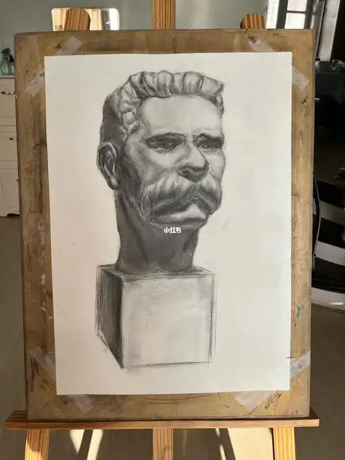 绘画  #素描 #石膏像