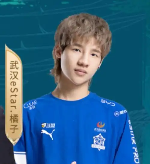 照片总让人觉得是借用了别人的身体p的表情包#kpl帅哥  #武汉estarpro