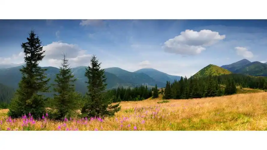 4k带鱼屏壁纸_18原图可另存