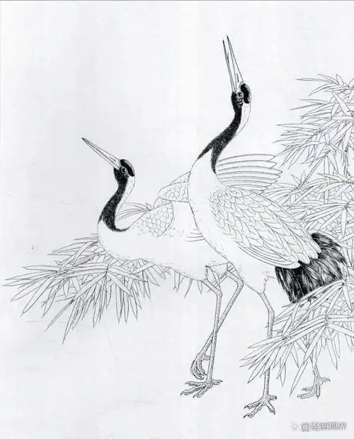国画,白鹤工笔画当代画家非常喜欢画,线稿更是成为了广大国画初学者