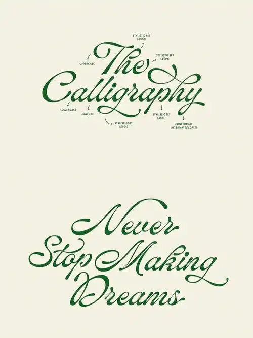 本期分享优雅艺术风手写英文字体