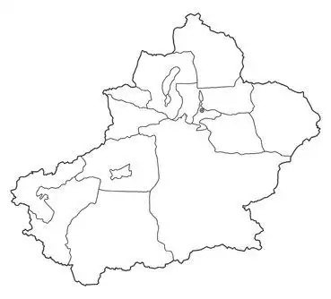 央企进入:新疆本土企业变革提速