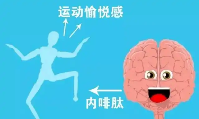 炒股要快感,但让你坚持的只有内啡肽而不是多巴胺_股市_饥渴_驱动