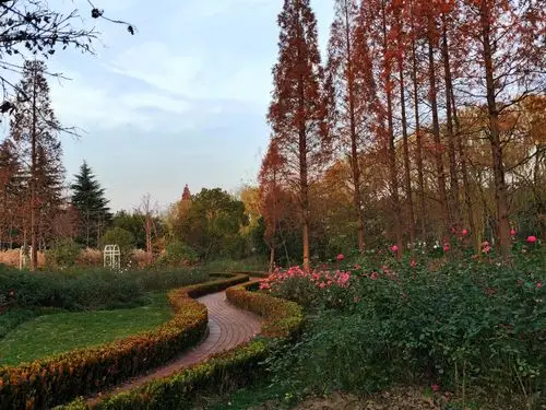 昆山森林公园(2019年12月13日手机拍摄)