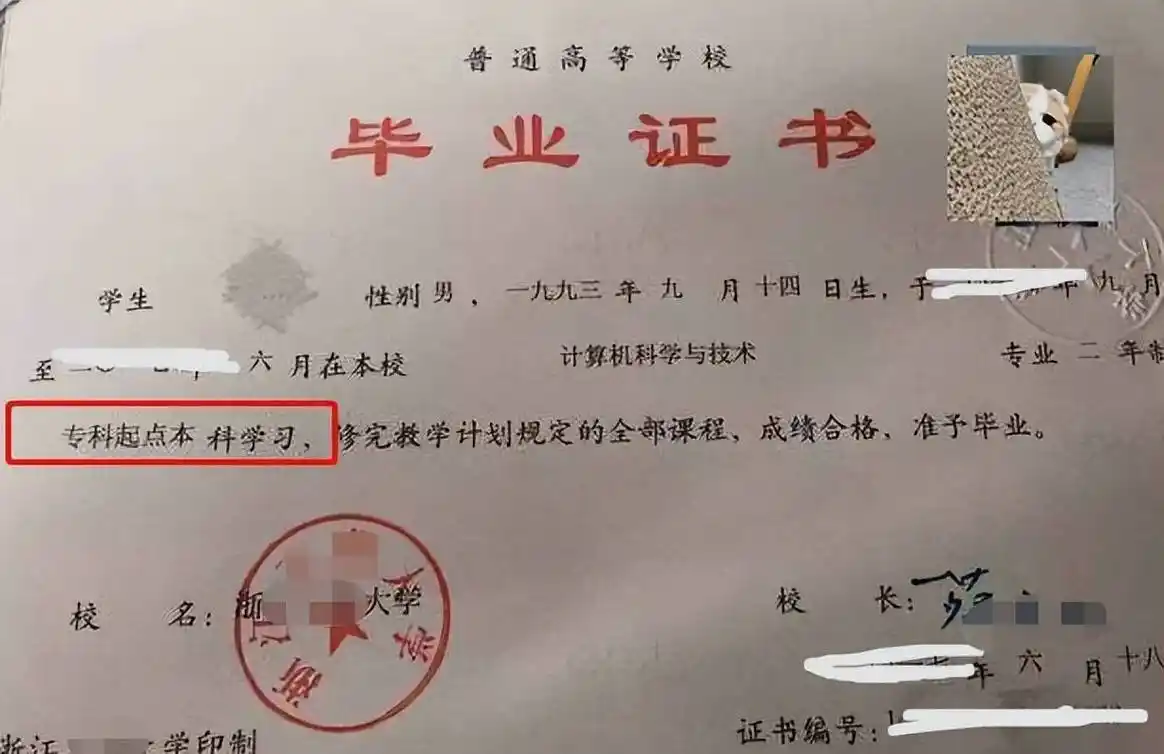 辛辛苦苦"专升本",却因毕业证上5字被拒,学校:实事求是而已_小沈_学历