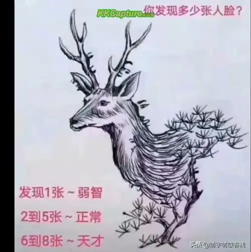 你的答案--一张图测测你的智商,你能发现多少张人脸