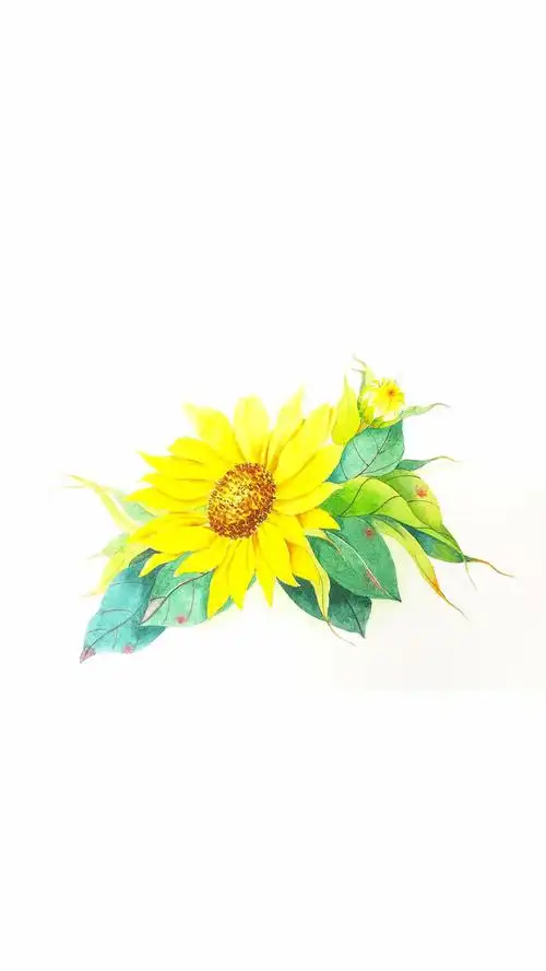 小清新文艺水彩手绘手机壁纸