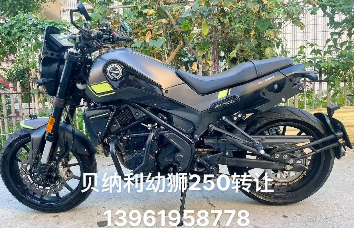 贝纳利幼狮250转让,高配abs,改装 - 抖音