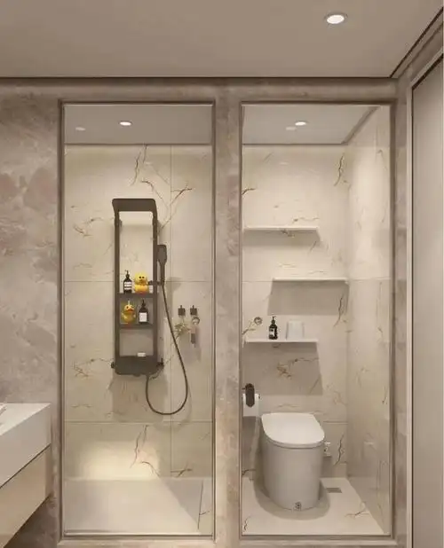 资深设计师建议:三分离卫生间并不适合中国家庭,盲目跟风不可取