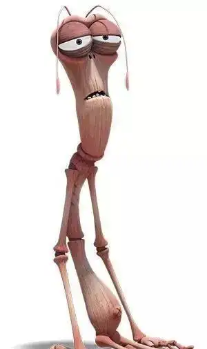 爆笑虫子竹节虫图片