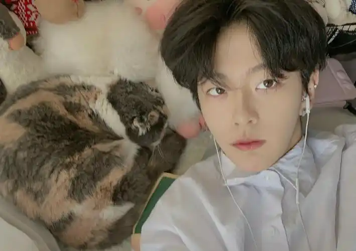 刘梦lapmoby - 堆糖,美图壁纸兴趣社区