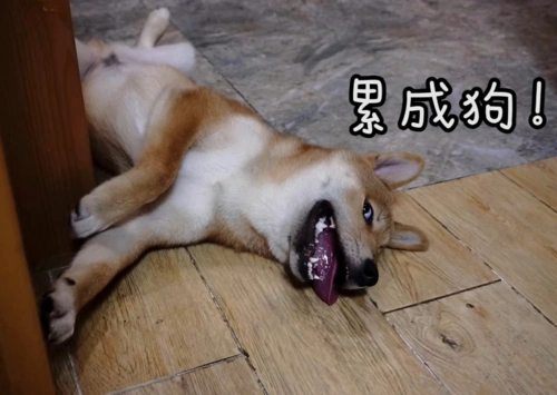 于是乎……那10个渐渐地全都累倒了……厂子(口腔)倒闭(无法吃饭)了