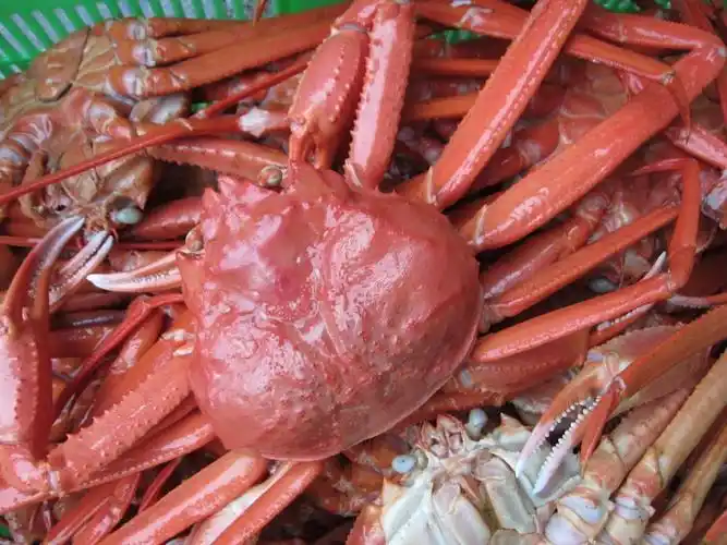 「红蟹a400-500」