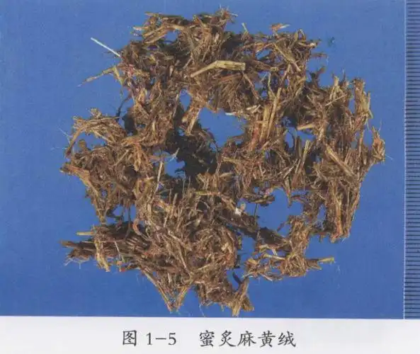 蜜炙麻黄绒