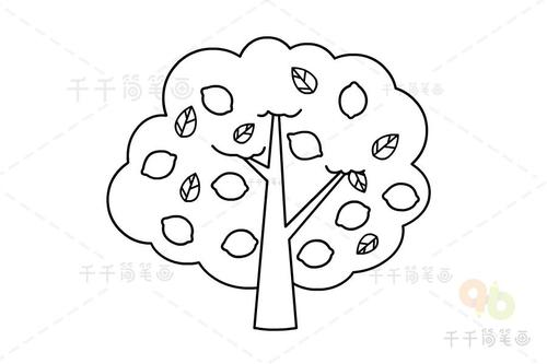 大树简笔画教程图解