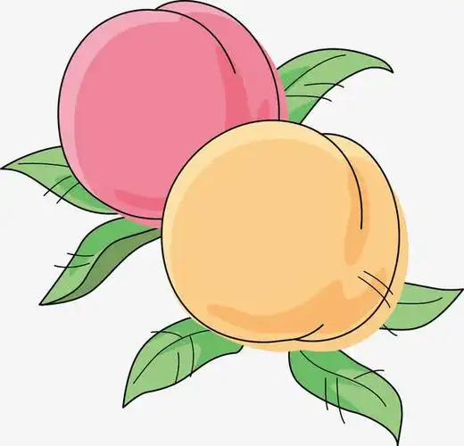 矢量水蜜桃素材