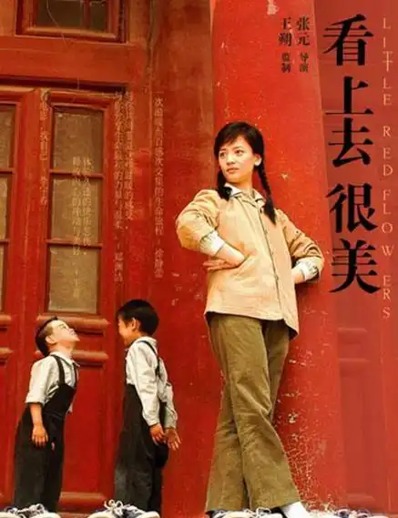 《看上去很美》