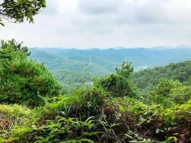 佛山高明的一个小九寨泰康山森林度假区避暑好去处