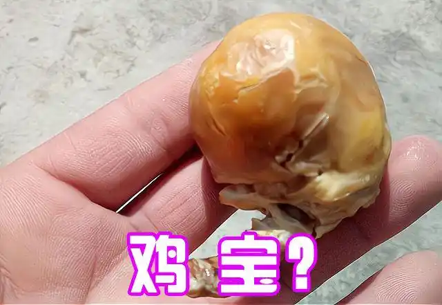 这些收购10年以上老母鸡的人,也是看重"鸡宝"这一点,如果遇到一个