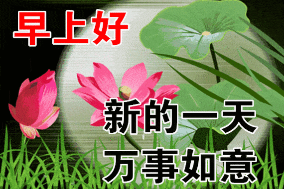 原创8张最新最全早上好问候语温馨动态图片大全春天早上好问候祝福语