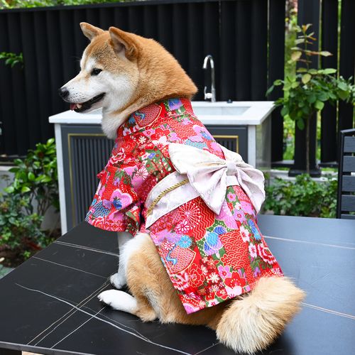 芮柴原创自制宠物狗狗衣服 柯基雪纳瑞柴犬和服拍照摄影服装纯棉