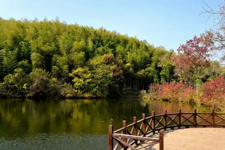 石塘竹海—小九寨秋色