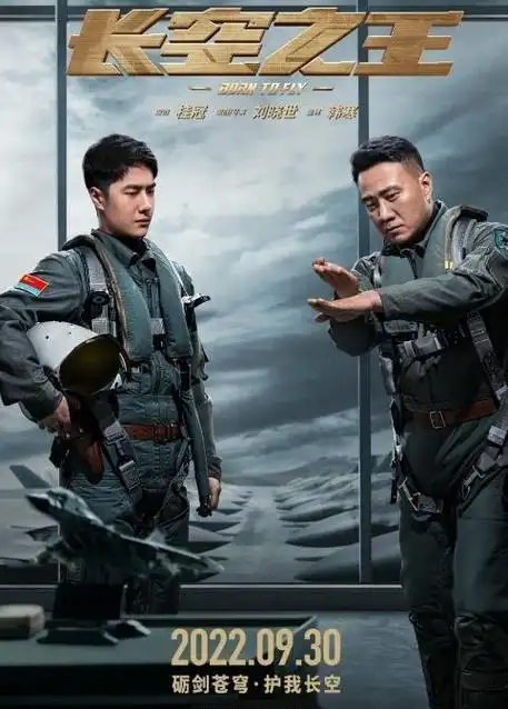 为国研发歼20,对任何爱国者而言,无疑是一份难以抗拒的使命召唤.