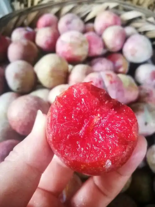 5斤包邮红心李三华李桃形李子青脆甜李预售5月20日之前发完批发