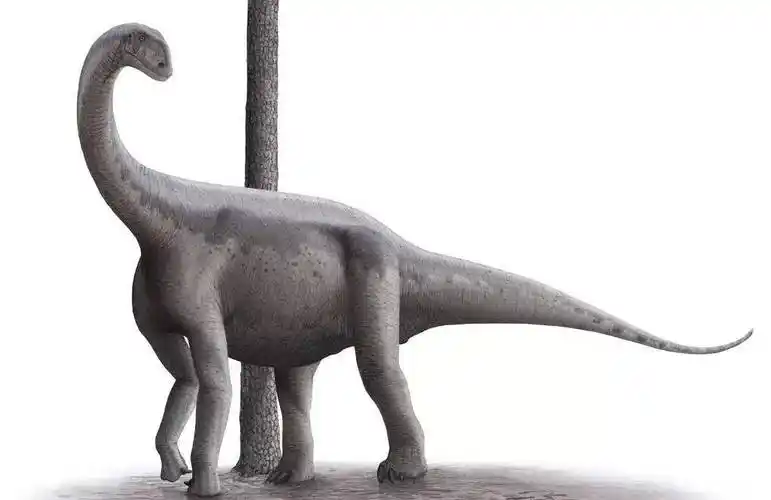 蜥脚类恐龙的图片和简介(三)_动物_梁龙_历史