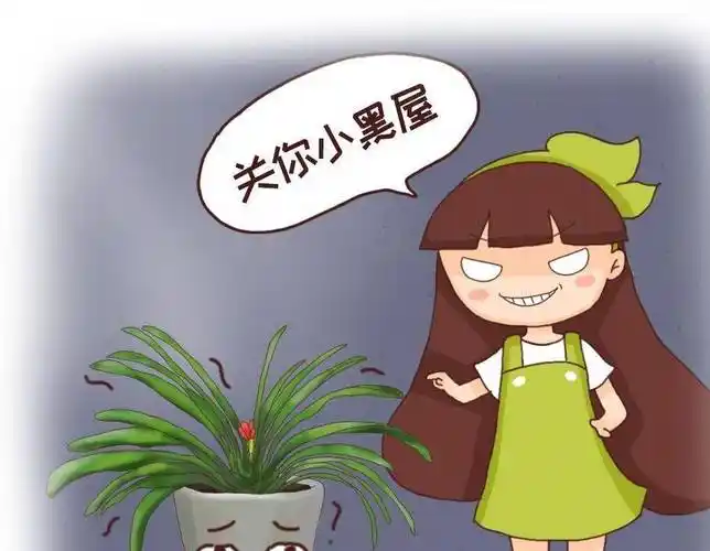 君子兰年年夹箭,关小黑屋,浇点酒,花箭5天就钻出来!_清水_花花_方法