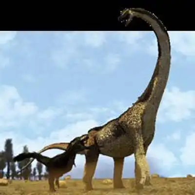 恐龙中的帝王家族暴龙