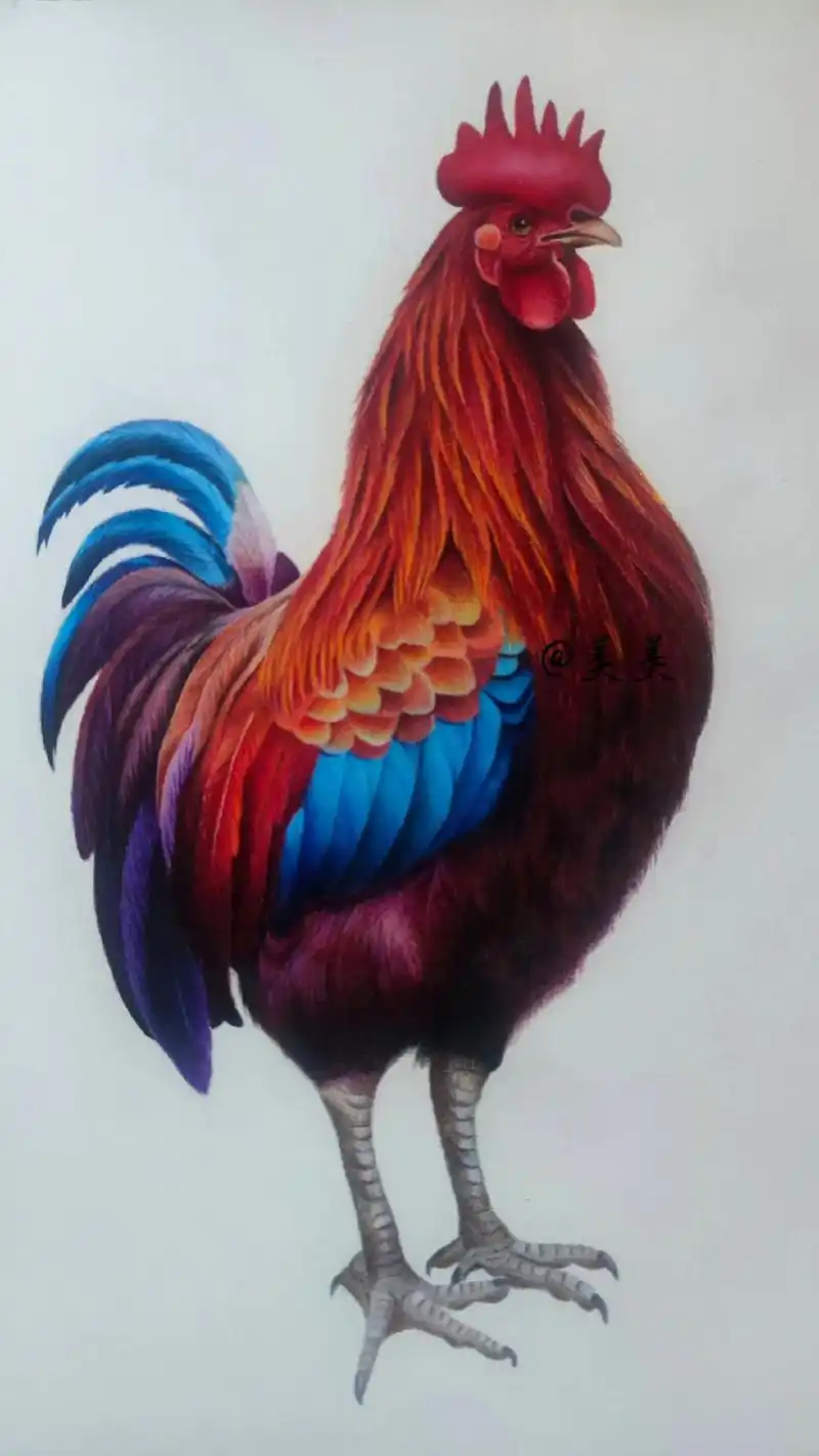 画画 #彩铅 #手绘 #大公鸡 #绘画过程分享 - 抖音