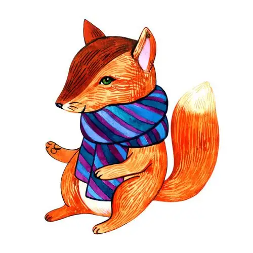 红狐插画