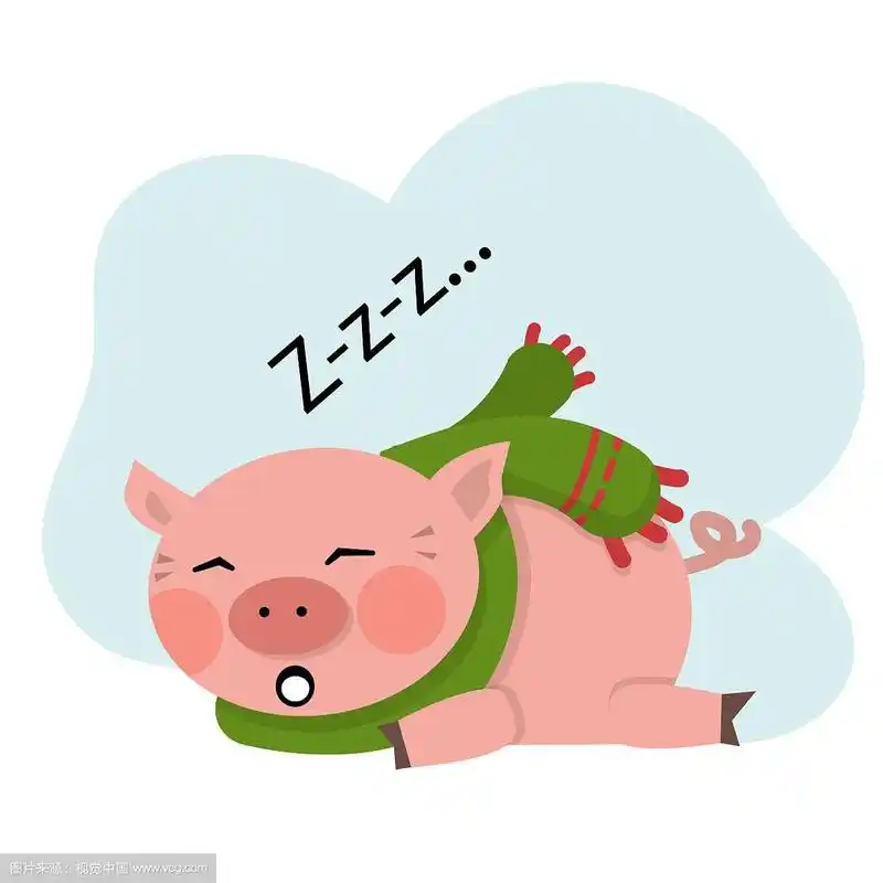 猪睡觉