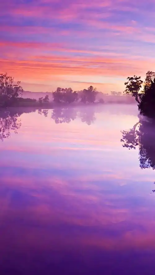 私藏～唯美紫色风景壁纸 - 堆糖,美图壁纸兴趣社区